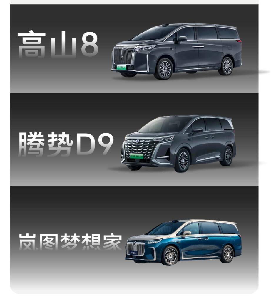 智能化与空间表现出众魏牌高山、梦想家和腾势D9深度解析(图1)