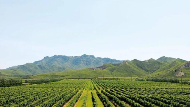 张家口怀来加速打造京张文旅融合发展“桥头堡”(图1)