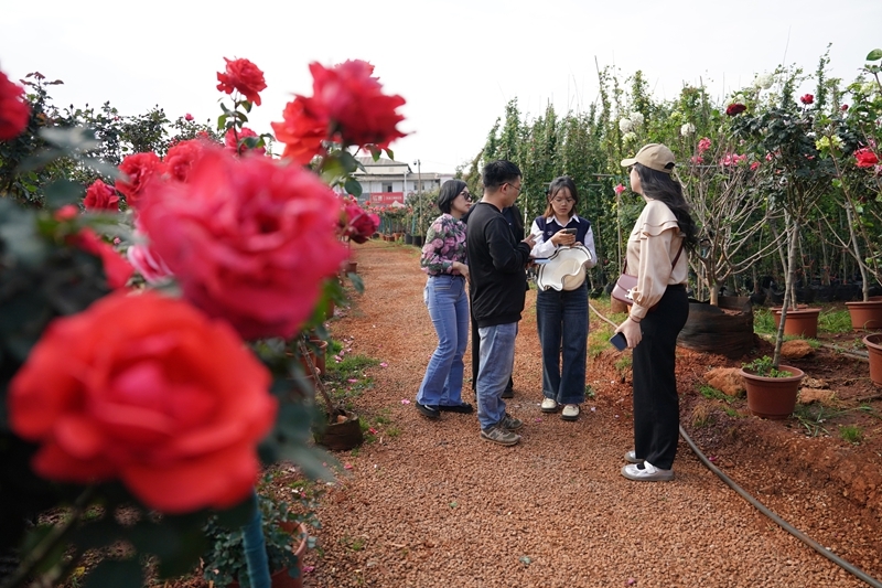 享开放之机走共赢之路——在国际经贸盛会中感知中国吸引力(图5)