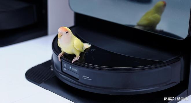 扫地茅增收不增利飙涨的营销费用让石头盈利承压(图1)