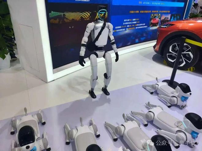 一文看尽35万人围观的智博会(图11)