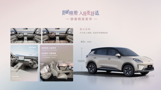 大空间+智能升级！五菱缤果S上市搅动6-8万级纯电小车市场！(图2)