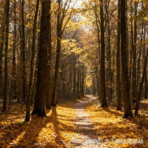 2025定制五金实力品牌厂家-意大利卡薩萊德智能家居科技(图1)