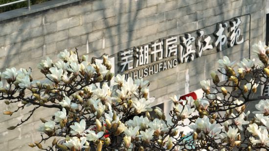 城市更新芜湖大有作为！(图8)