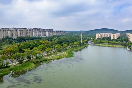 城市更新芜湖大有作为！(图20)