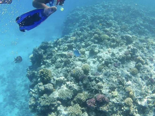 深圳新晋独角兽小步快跑飞速进化(图5)