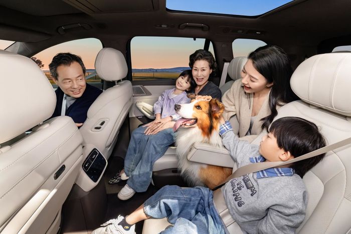 智能座舱不是主驾专属！看腾势N8L如何以智能满足全家诉求(图6)