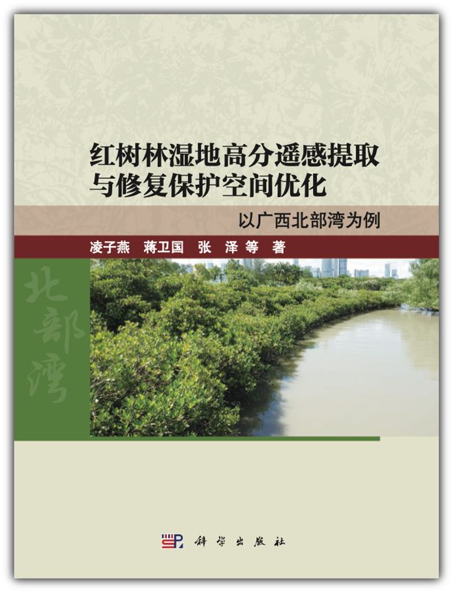 青岛理工大学凌子燕团队 红树林湿地高分遥感提取与修复保护空间优化：以广西北部湾为例(图1)