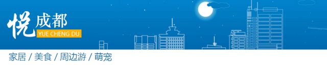 AI让你意想不到的未来体验(图16)