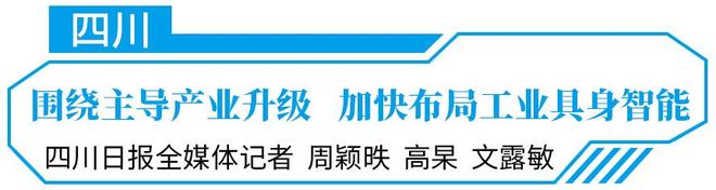 共擎“具人”舞——解码具身智能产业的“中国拼图”(图9)